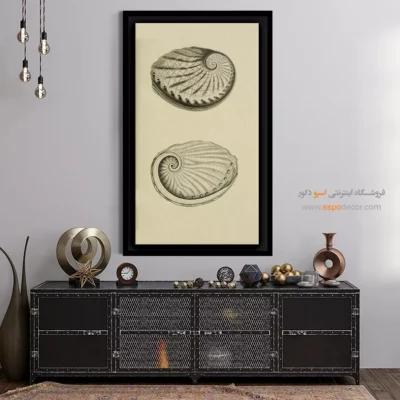 تابلو جانوران دریایی - اسپو دکور