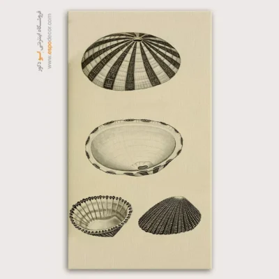 تابلو جانوران دریایی - اسپو دکور