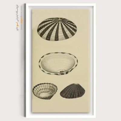 تابلو جانوران دریایی - اسپو دکور