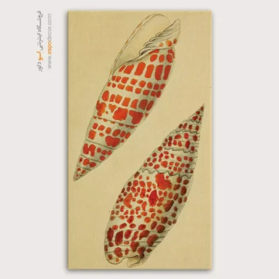 تابلو جانوران دریایی - اسپو دکور