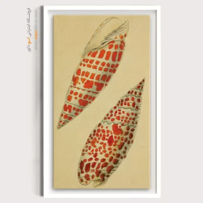 تابلو جانوران دریایی - اسپو دکور