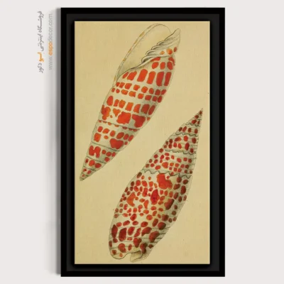 تابلو جانوران دریایی - اسپو دکور