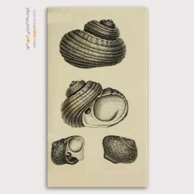 تابلو جانوران دریایی - اسپو دکور