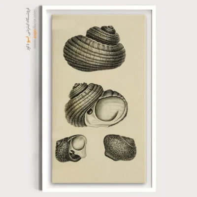 تابلو جانوران دریایی - اسپو دکور