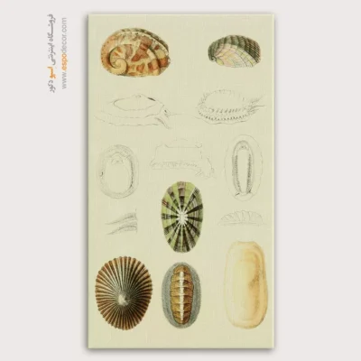 تابلو جانوران دریایی - اسپو دکور