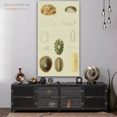 تابلو جانوران دریایی - اسپو دکور