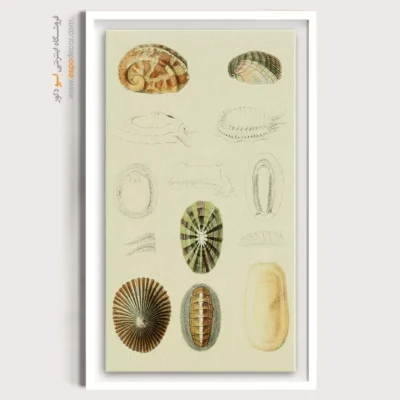 تابلو جانوران دریایی - اسپو دکور