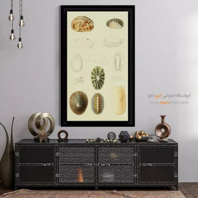 تابلو جانوران دریایی - اسپو دکور