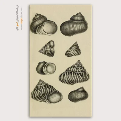 تابلو جانوران دریایی - اسپو دکور