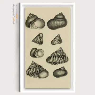 تابلو جانوران دریایی - اسپو دکور