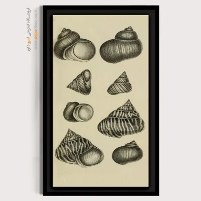 تابلو جانوران دریایی - اسپو دکور