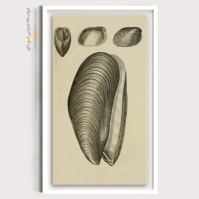 تابلو جانوران دریایی - اسپو دکور