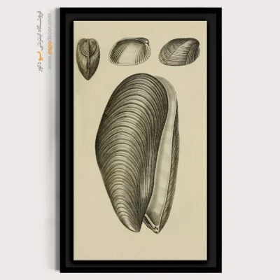 تابلو جانوران دریایی - اسپو دکور