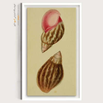 تابلو جانوران دریایی - اسپو دکور