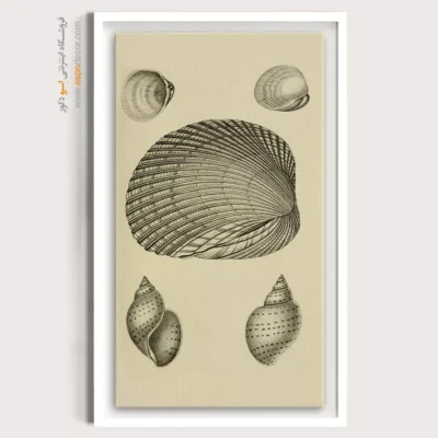 تابلو جانوران دریایی - اسپو دکور