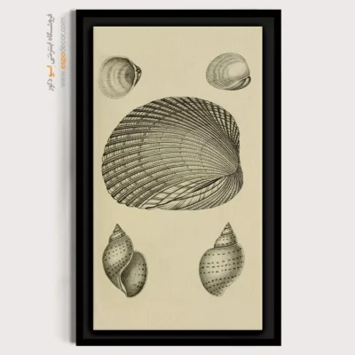 تابلو جانوران دریایی - اسپو دکور