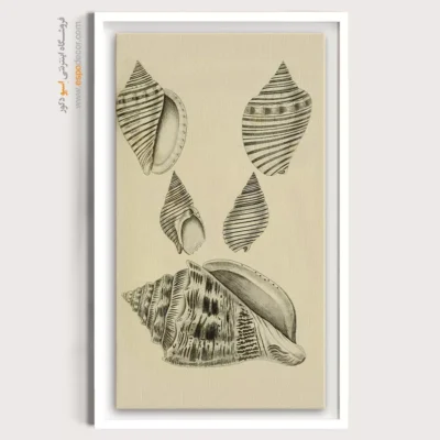 تابلو جانوران دریایی - اسپو دکور