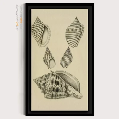 تابلو جانوران دریایی - اسپو دکور