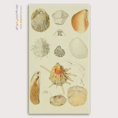 تابلو جانوران دریایی - اسپو دکور