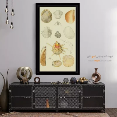 تابلو جانوران دریایی - اسپو دکور