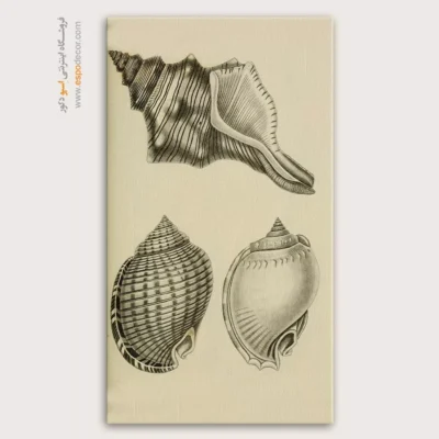 تابلو جانوران دریایی - اسپو دکور