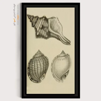 تابلو جانوران دریایی - اسپو دکور