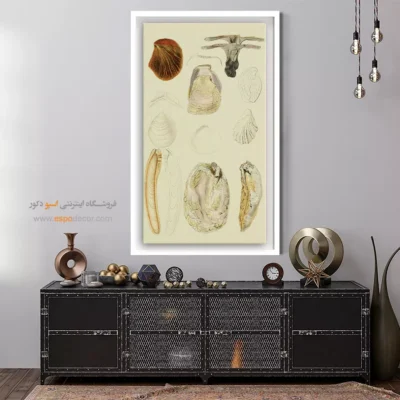 تابلو جانوران دریایی - اسپو دکور