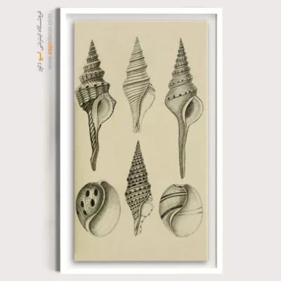 تابلو جانوران دریایی - اسپو دکور