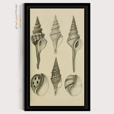 تابلو جانوران دریایی - اسپو دکور