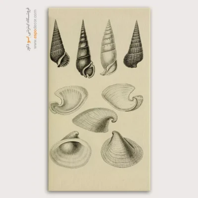 تابلو جانوران دریایی - اسپو دکور