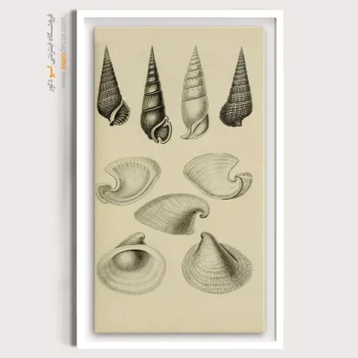 تابلو جانوران دریایی - اسپو دکور