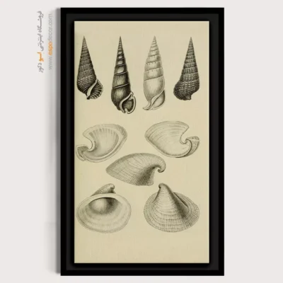 تابلو جانوران دریایی - اسپو دکور