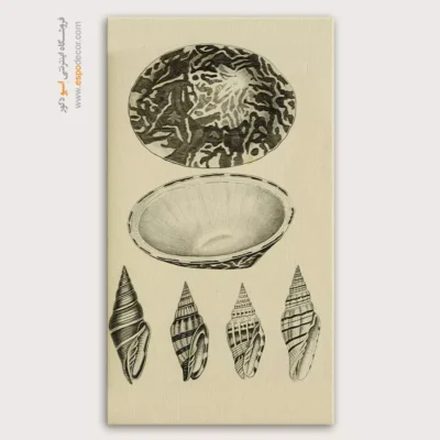 تابلو جانوران دریایی - اسپو دکور