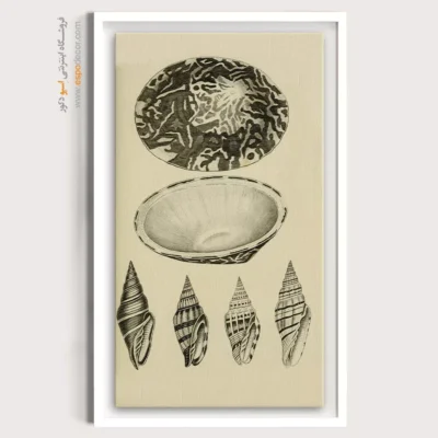 تابلو جانوران دریایی - اسپو دکور