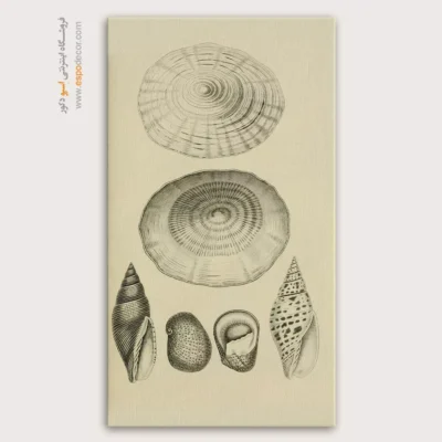 تابلو جانوران دریایی - اسپو دکور