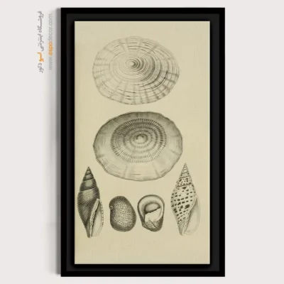 تابلو جانوران دریایی - اسپو دکور