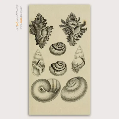 تابلو جانوران دریایی - اسپو دکور