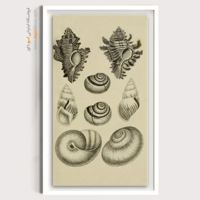 تابلو جانوران دریایی - اسپو دکور