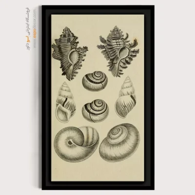 تابلو جانوران دریایی - اسپو دکور