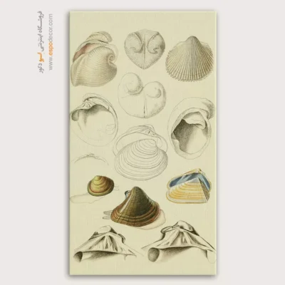 تابلو جانوران دریایی - اسپو دکور