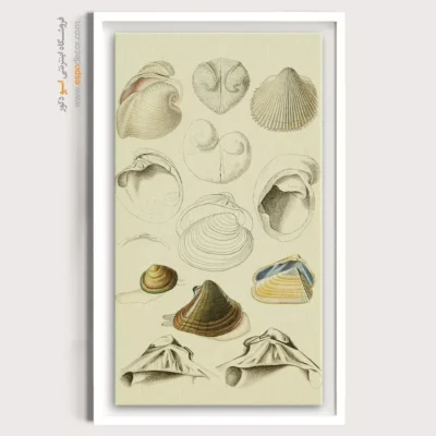 تابلو جانوران دریایی - اسپو دکور