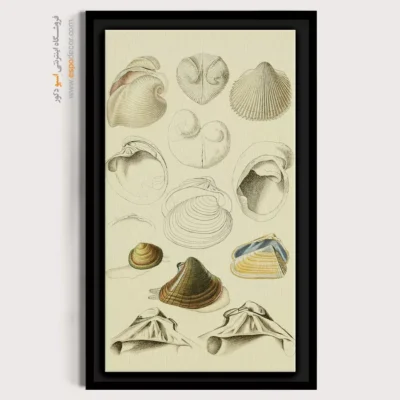 تابلو جانوران دریایی - اسپو دکور