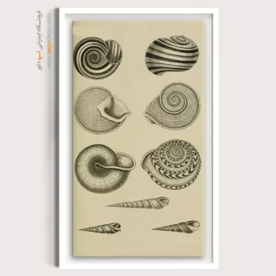 تابلو جانوران دریایی - اسپو دکور