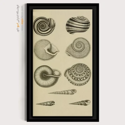 تابلو جانوران دریایی - اسپو دکور