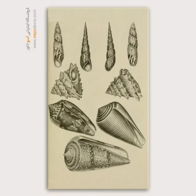 تابلو جانوران دریایی - اسپو دکور