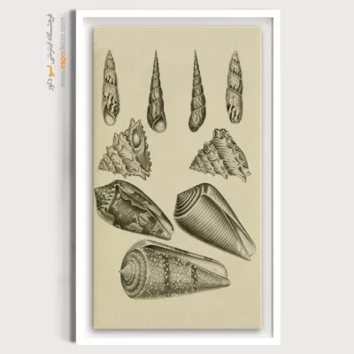 تابلو جانوران دریایی - اسپو دکور