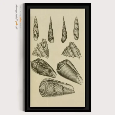 تابلو جانوران دریایی - اسپو دکور