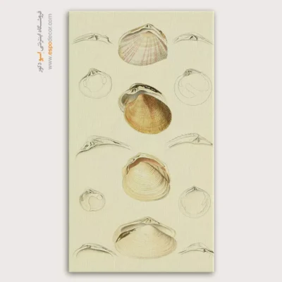 تابلو جانوران دریایی - اسپو دکور