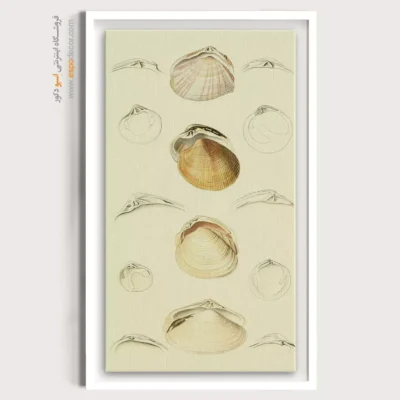 تابلو جانوران دریایی - اسپو دکور