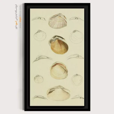 تابلو جانوران دریایی - اسپو دکور